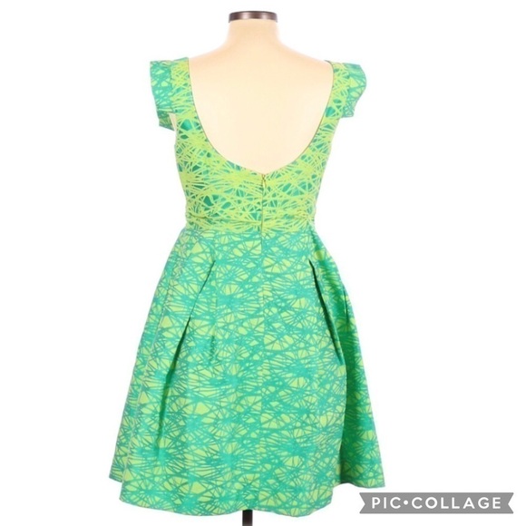 Authentic Theia Retro Fit & Flare Abstract Dress - Picture 3 of 3